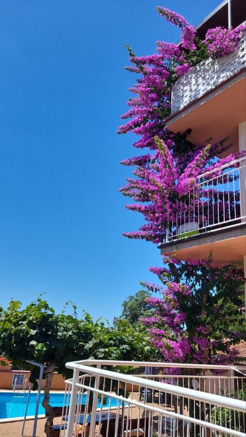 Stella Apartments Винкуран Екстер'єр фото